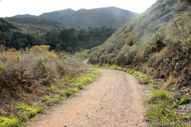 Looking down Islay Creek Trail