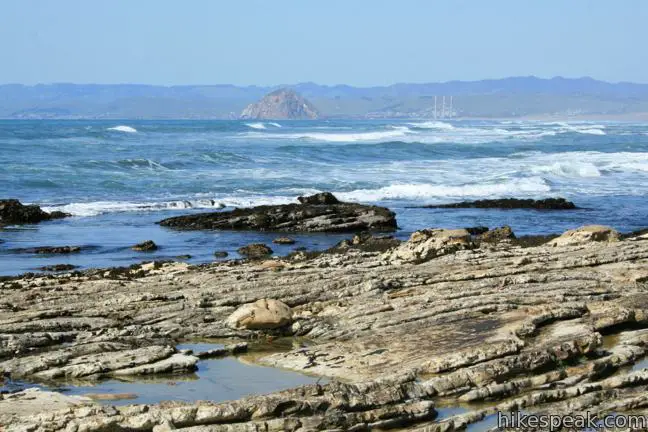 Montaña de Oro Hazard Canyon Reef