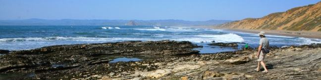 Dune Trail Montaña de Oro State Park Hazard Canyon Reef hike tide pools trail Los Osos California San Luis Obispo