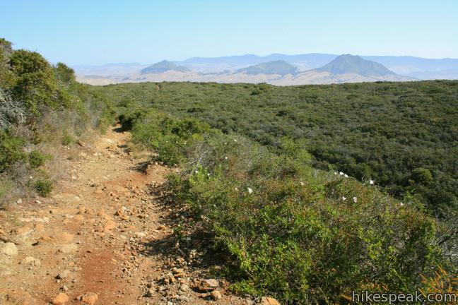 Irish Hills San Luis Obispo hike Mariposa Trail