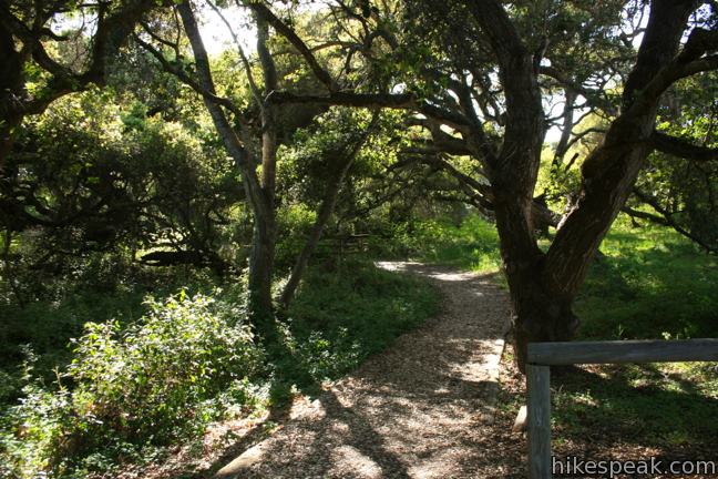 Los Osos Oaks State Reserve Weather