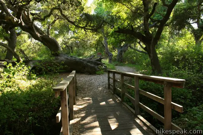 Los Osos Oaks Chumash Trail