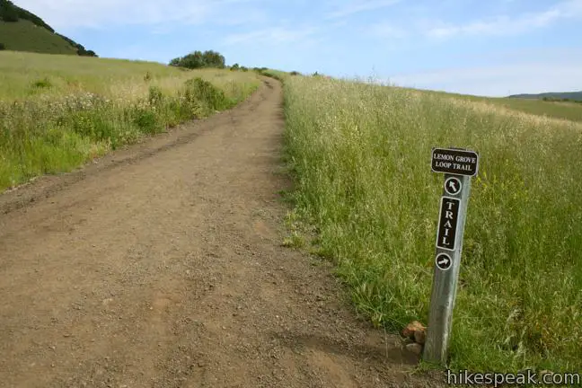 Lemon Grove Loop Trail