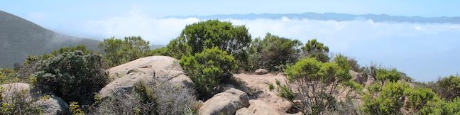 Black Hill Trail Morro Bay State Park San Luis Obispo hike California Morros Nine Sisters Black Mountain