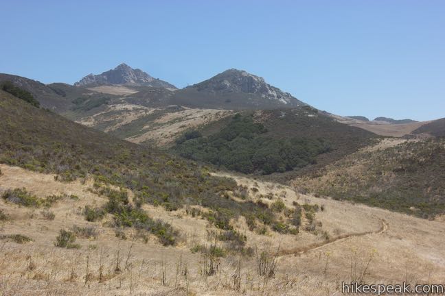 Crespi Trail Hollister Peak