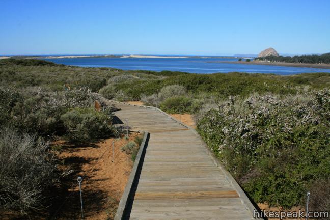 Elfin Forest Natural Preserve Morro Bay