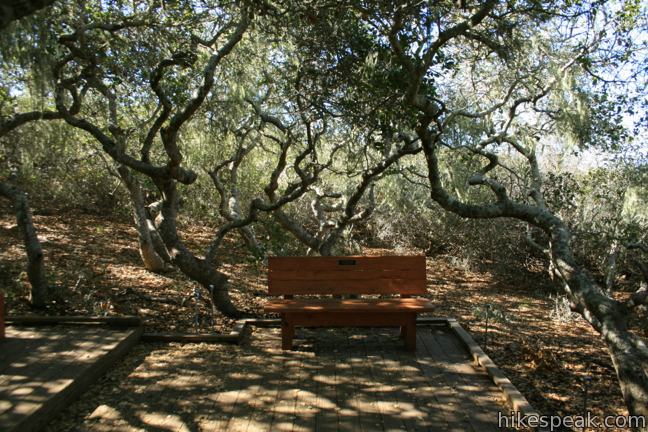 Elfin Forest Natural Preserve Morro Bay