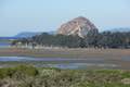 Elfin Forest Morro Bay