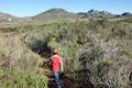 Elfin Forest Morro Bay