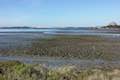 Elfin Forest Morro Bay