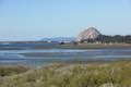 Elfin Forest Morro Bay