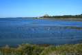 Elfin Forest Morro Bay