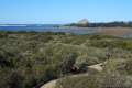 Elfin Forest Morro Bay