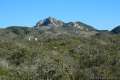 Elfin Forest Morro Bay