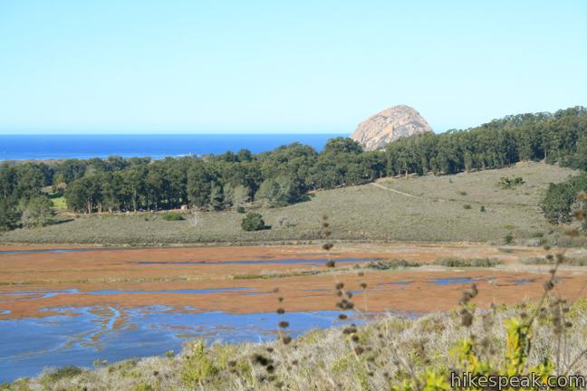 Portola Hill Morro Bay
