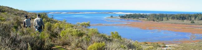 Portola Hill Point Trail Morro Bay State Park San Luis Obispo hike California Morro Estuary view