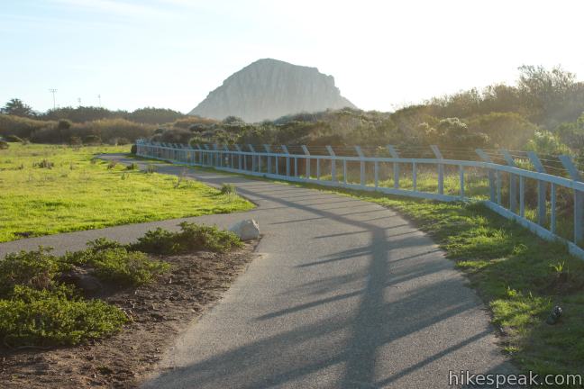 Morro Rock from Cloisters Park