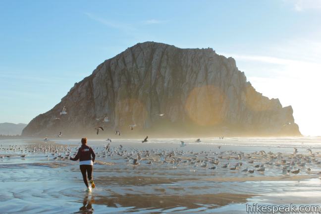 Morro Rock from Morro Strand State Beach