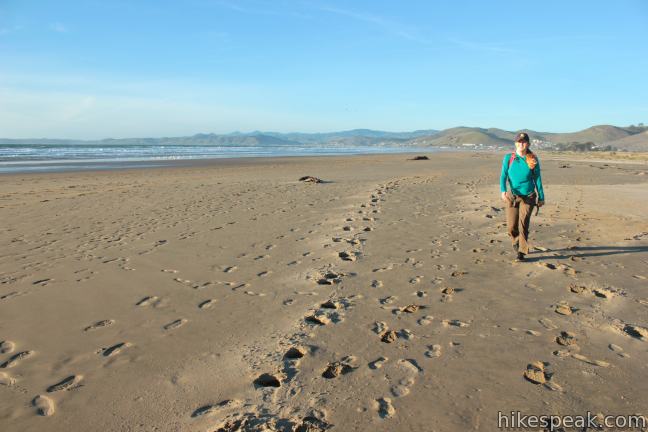 Morro Strand State Beach Sand Dunes