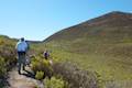 Oats Peak Trail Montaña de Oro State Park