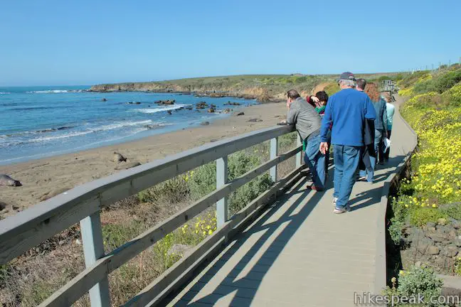 Piedras Blancas Elephant Seal Rookery Boardwalk