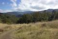 Rinconada Trail Meadow