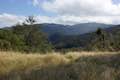 Rinconada Trail Meadow