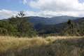 Rinconada Trail Meadow