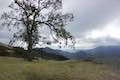 Rinconada Trail Overlook