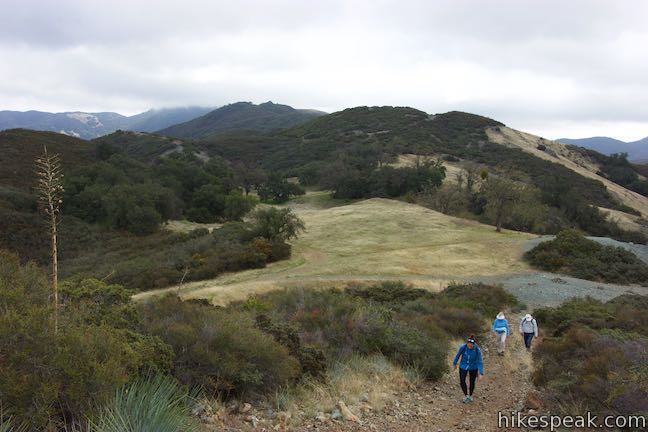 Rinconada Trail to Bell Mountain Firebreak