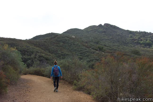 Rinconada Trail Bell Mountain