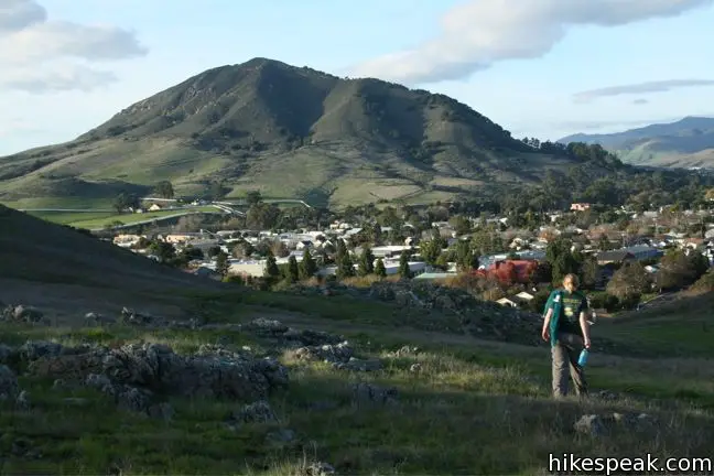 South Hills San Luis Obispo