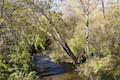 San Luis Obispo Creek