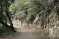 Sycamore Crest Trail