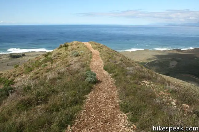 Pracht ondersteuning heerser Valencia Peak Trail | Montaña de Oro SP | Hikespeak.com