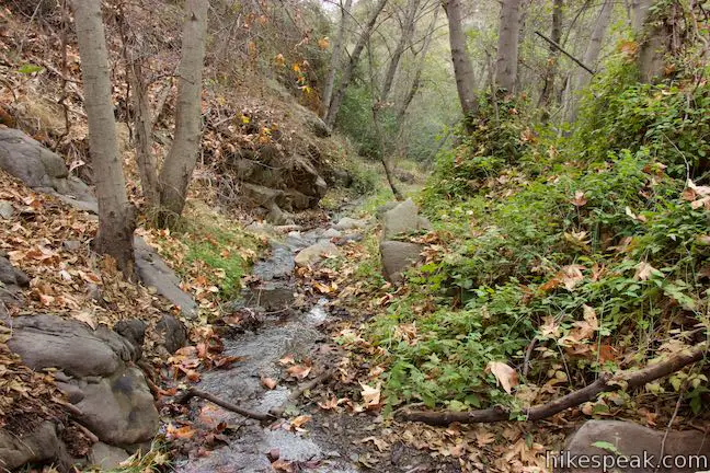 Horn Canyon Thacher Creek