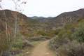 Horn Canyon Trail Ojai