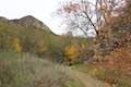 Santa Paula Canyon Trail