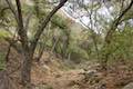 Santa Paula Canyon Trail