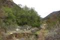 Santa Paula Canyon Trail