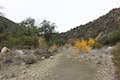 Santa Paula Canyon Trail