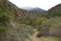 Santa Paula Canyon Trail