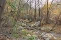 Santa Paula Creek Santa Paula Canyon