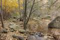 Santa Paula Creek Santa Paula Canyon