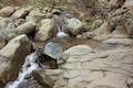 Santa Paula Creek