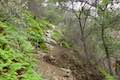 Santa Paula Canyon Punchbowl Trail
