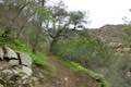 Santa Paula Canyon Punchbowl Trail