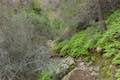 Santa Paula Canyon Punchbowl Trail