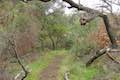 Santa Paula Canyon Trail