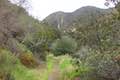 Santa Paula Canyon Trail